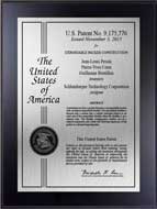 Value Patent Plaques-Wood Finish-Certificate