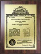 Value Patent Plaques-Wood Finish-Classic