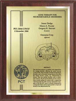 patent-plaques-international-pct