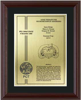 pct-patent-plaques-wood-frame