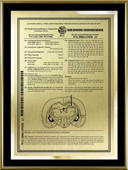 pct-patent-plaques-metal-frame