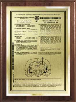 pct-patent-plaques-plaque-base