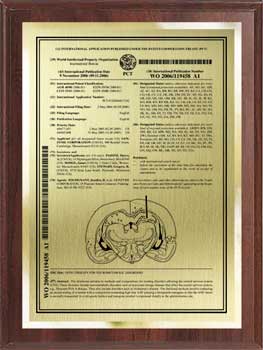 pct-patent-plaques-value