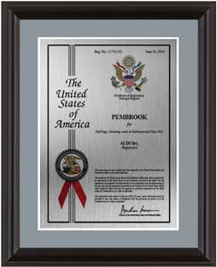 trademark-plaques-wood-frame-eagle