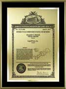 patent-plaques-metal frame-classic
