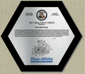 patent plaques-value hexagon-custom