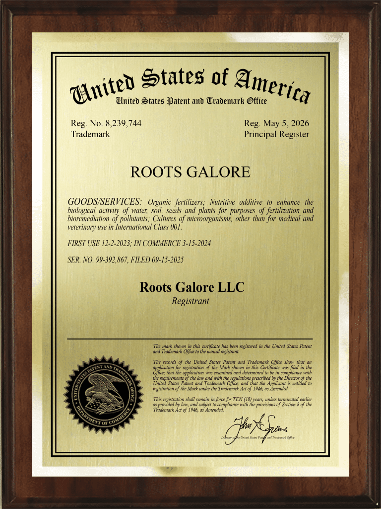 plaque gold roots